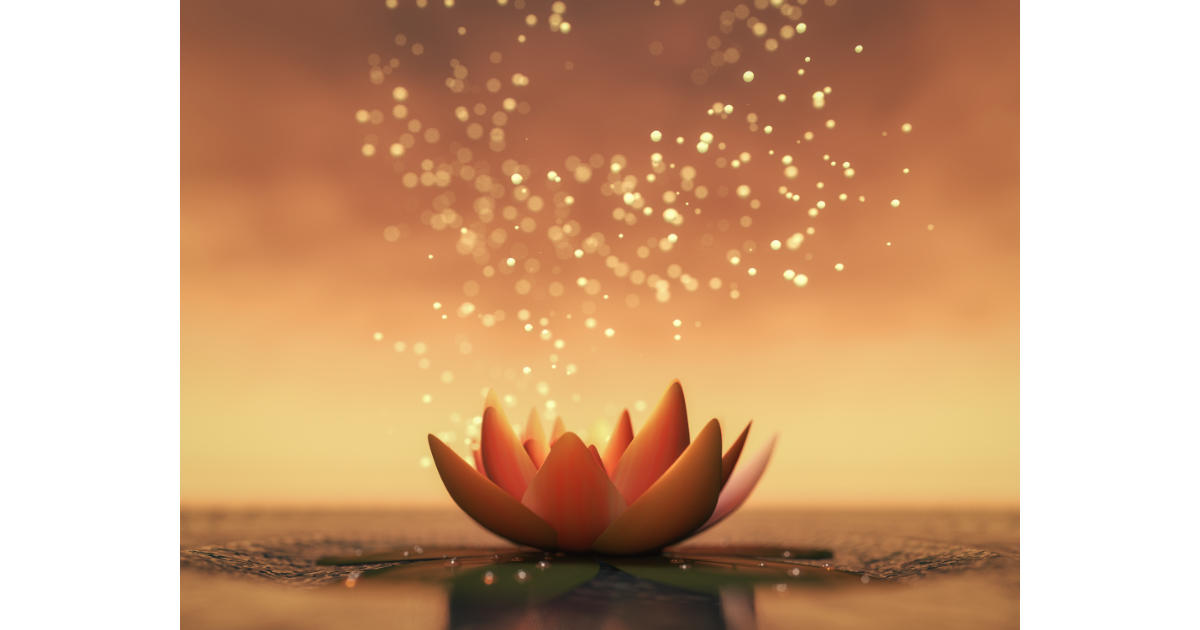 The Spiritual Meaning of Lotus Birth